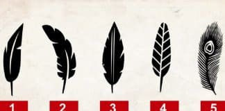 TESTE: Qual caneta você gosta? Contaremos um grande segredo da sua personalidade que o surpreenderá!