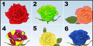 Escolha a rosa mais bonita e descubra os mais belos segredos da sua personalidade