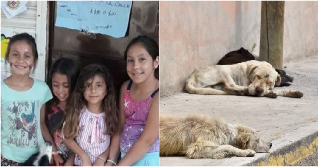 Essas meninas vendem desenhos para comprar comida para cachorros de rua