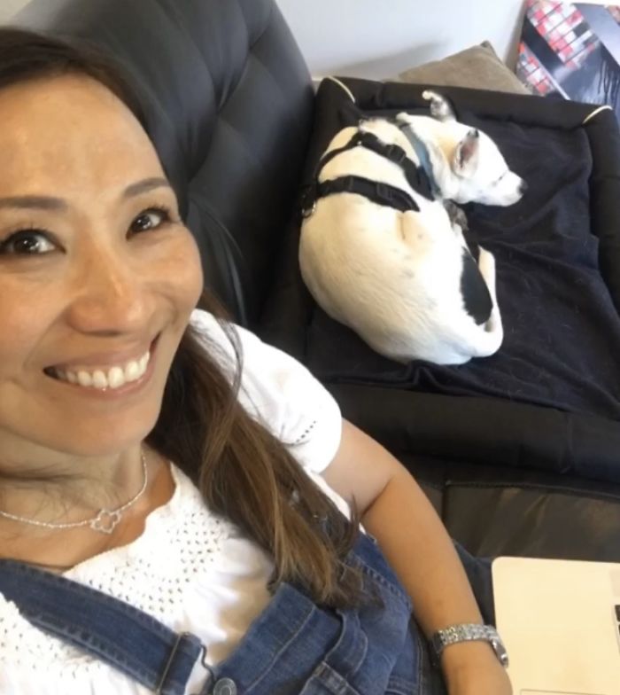 Mulher com medo de cães adota cachorro com medo de humanos fasdapsicanalise.com.br - Mulher com medo de cães adota cachorro com medo de humanos