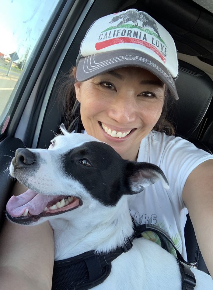 Mulher com medo de cães adota cachorro com medo de humanos fasdapsicanalise.com.br - Mulher com medo de cães adota cachorro com medo de humanos
