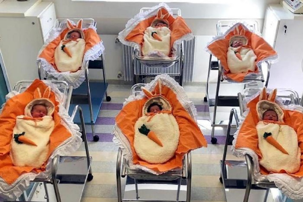 Hospital veste recém-nascidos de coelhinhos em homenagem à Páscoa em Caxias do Sul