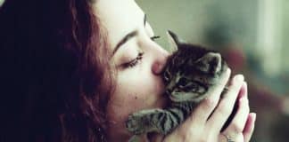 Tutores de Gatos podem ter mais tolerância a Covid-19, é hipótese de médica espanhola