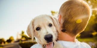 7 coisas que meu cão me ensinou