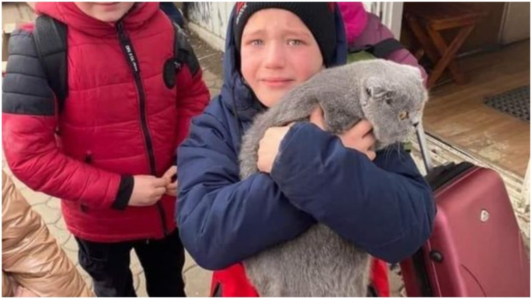 Menino ucraniano se emociona ao encontrar o gato que perdeu na fronteira com a Polônia