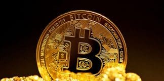Protegendo seu Ouro Digital: Cuidando de sua Carteira de Bitcoins Protegendo seu Ouro Digital: Cuidando de sua Carteira de Bitcoins